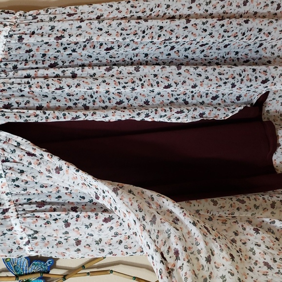 Sheer Button Up Dress - Picture 9 of 9